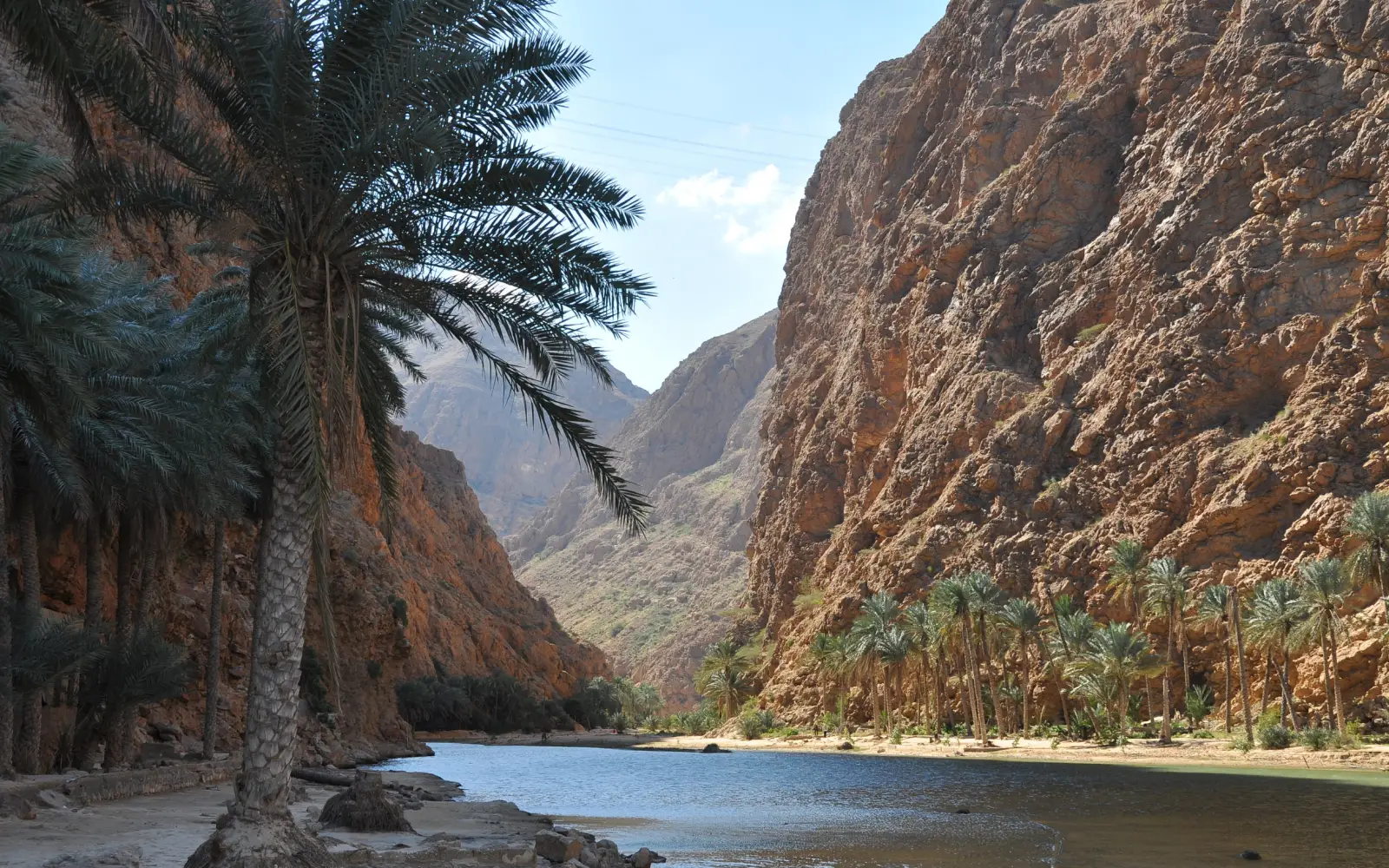Ultimate Salalah Journey