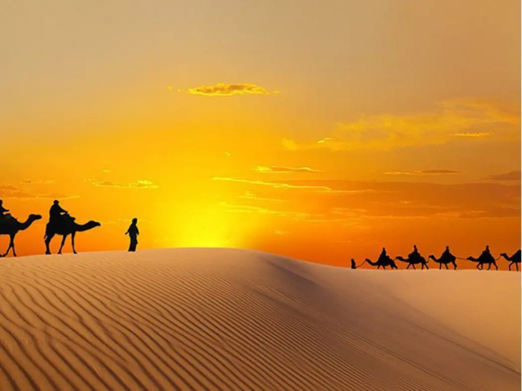 Liwa Oasis (Rub’ al Khali – Empty Quarter desert tours, camel trekking)