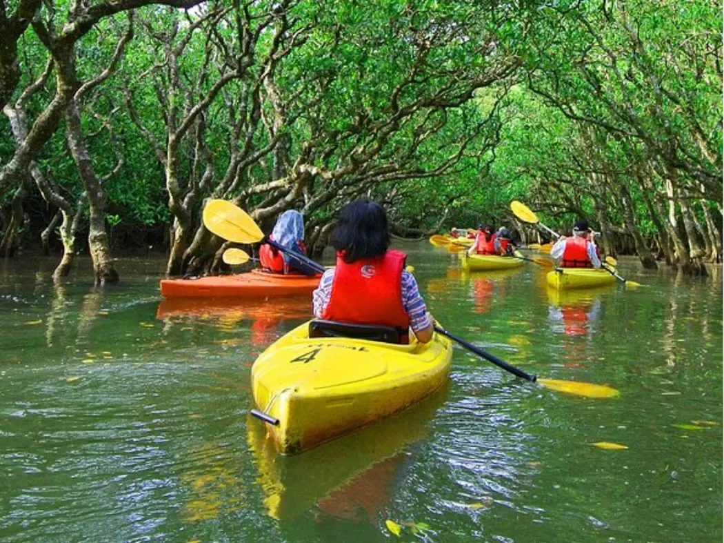 Mangrove National Park (kayaking, eco tours)