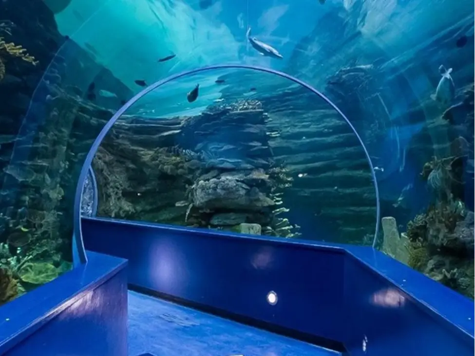 Sharjah Aquarium & Maritime Museum