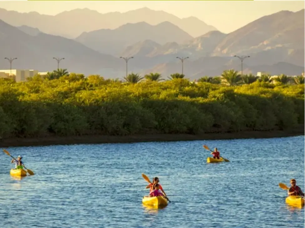 Kalba Mangroves & Kayaking