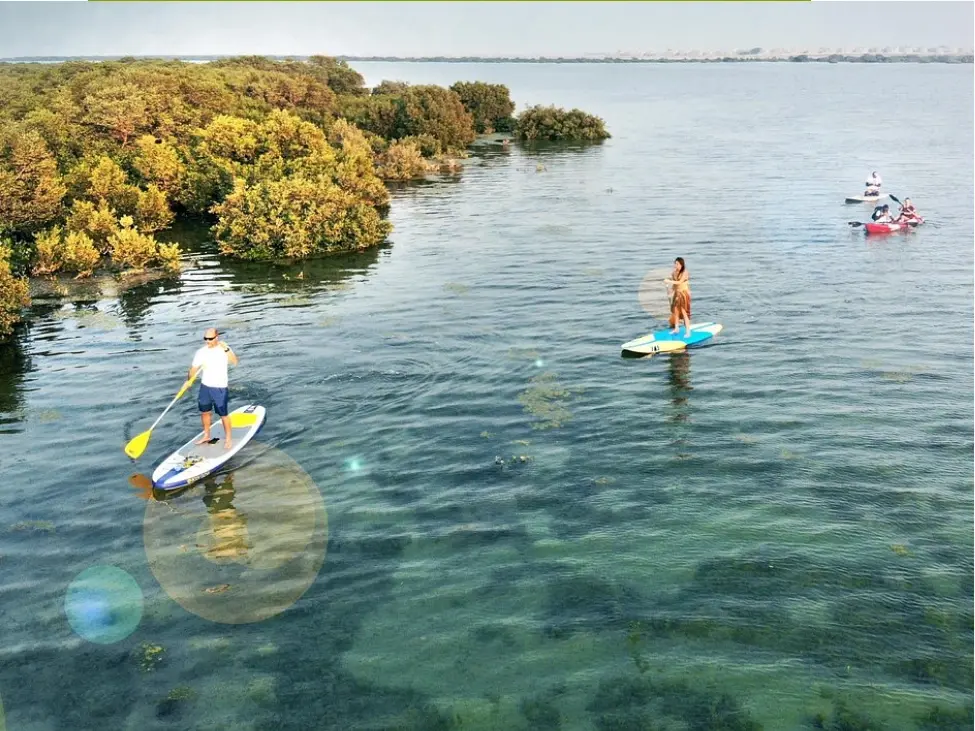Islands & Mangroves