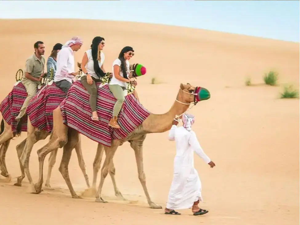 Desert Safari