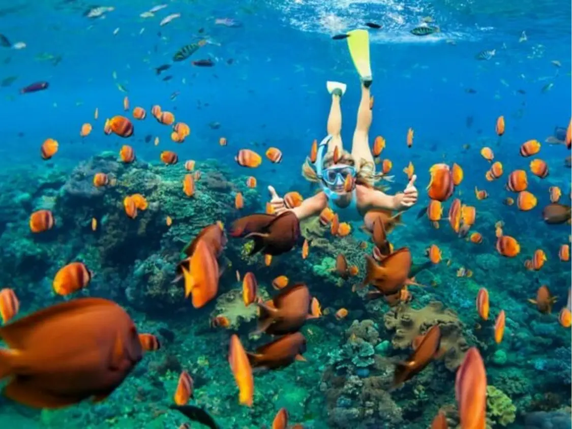 Snorkeling