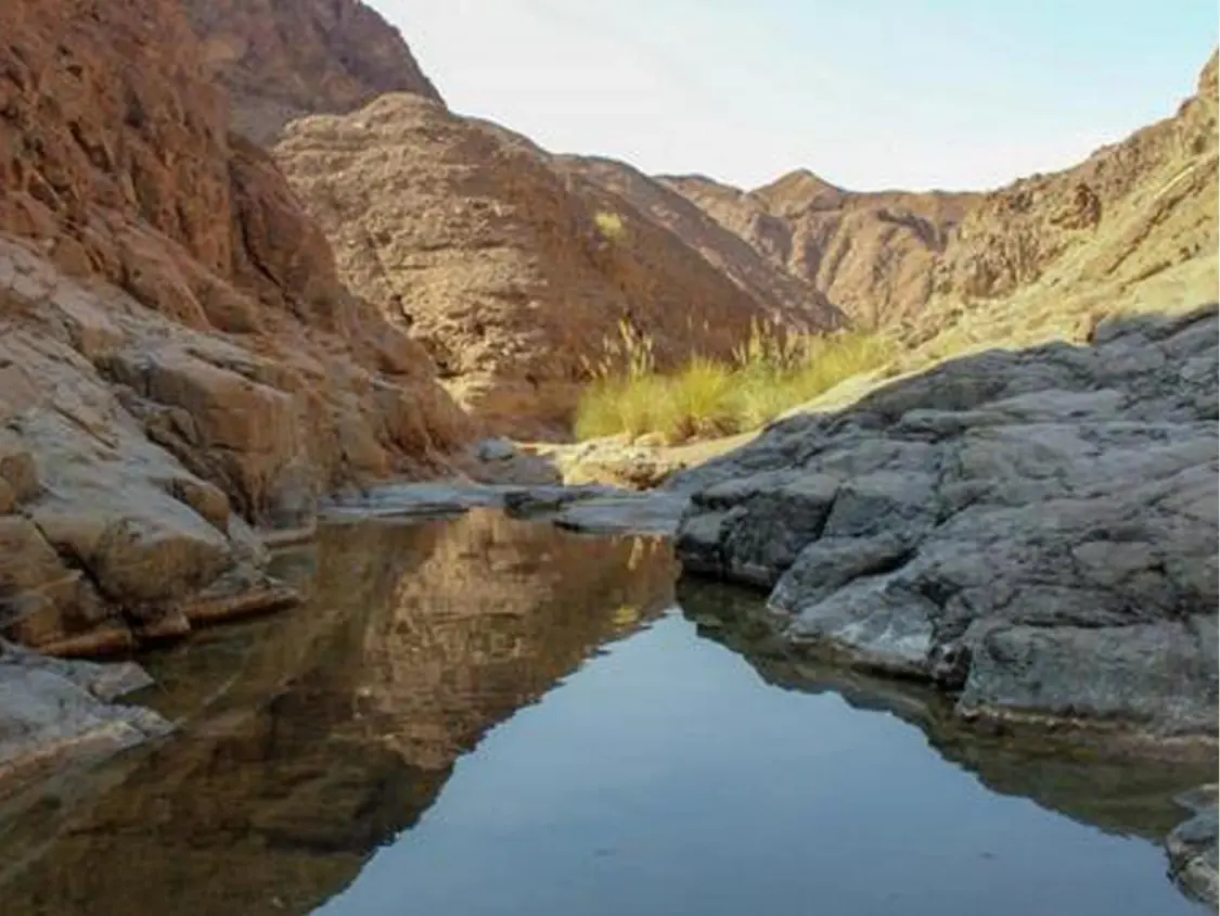 Wadi Wurayah National Park