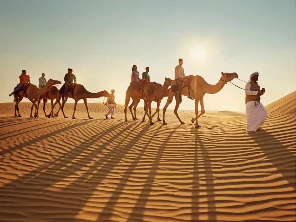 Camel Trekking