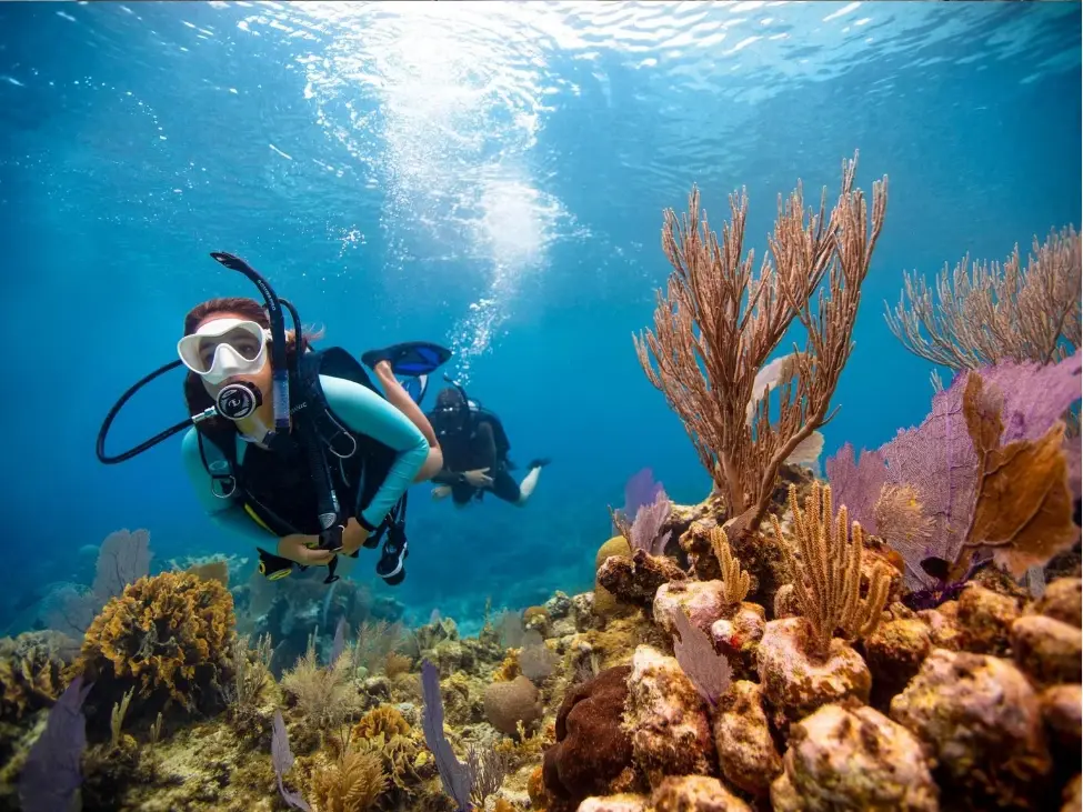 Scuba Diving