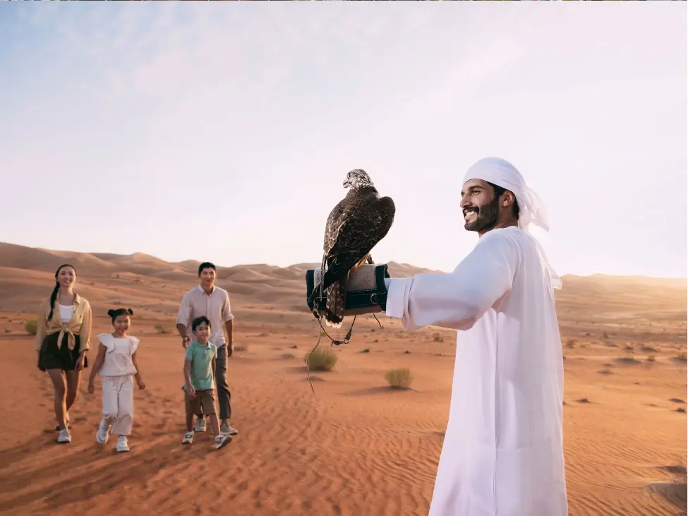 Falconry Shows