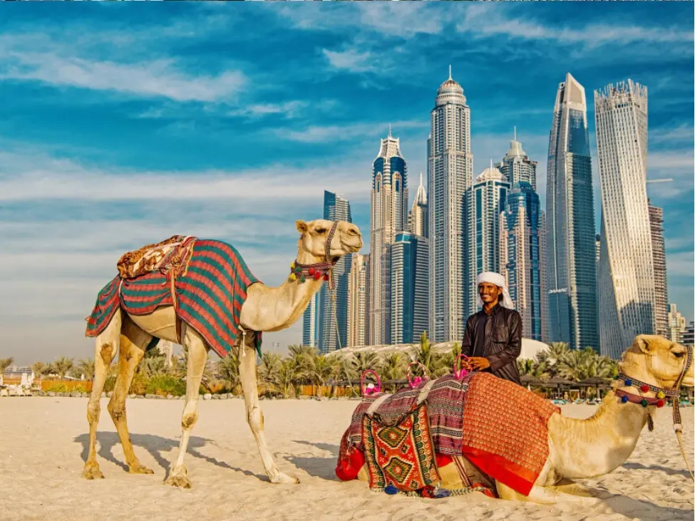 Cultural Tours