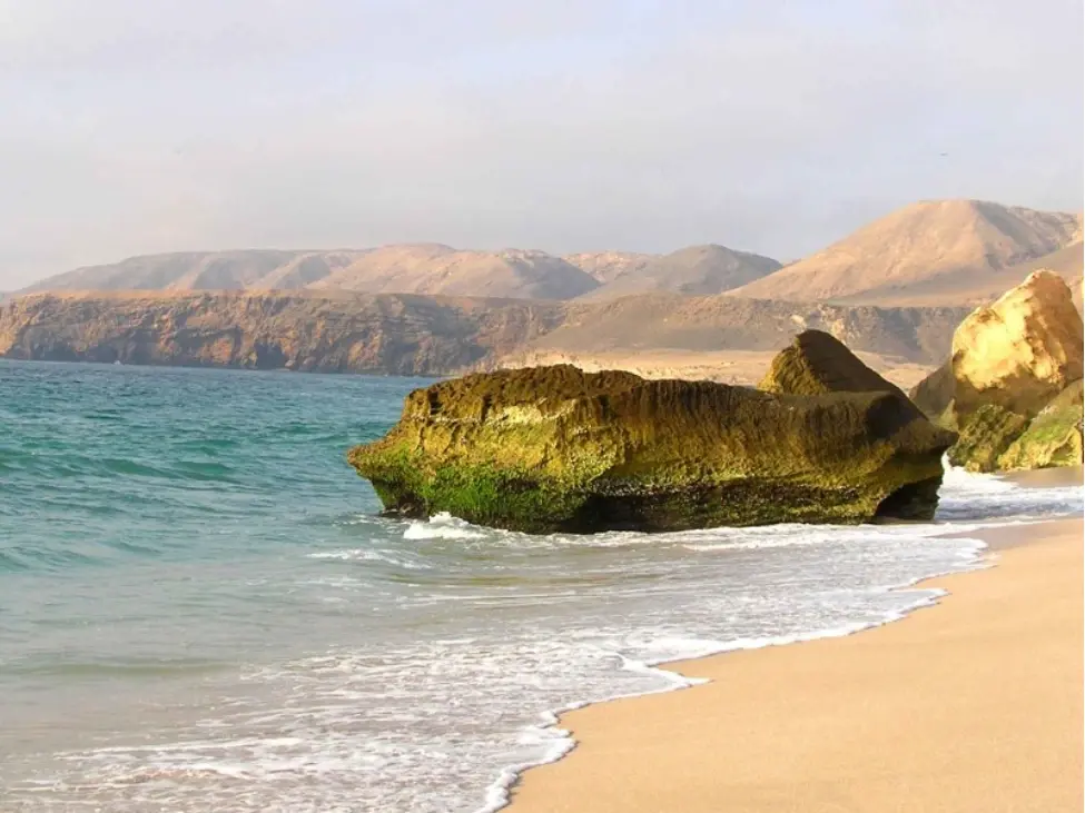 Ras Al Jinz