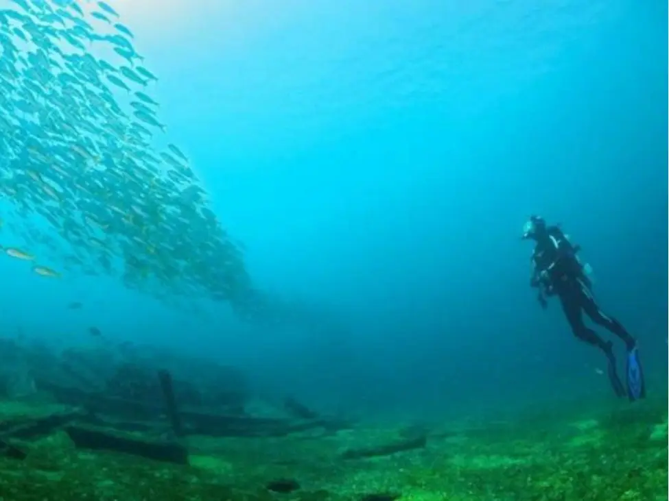Diving Spots