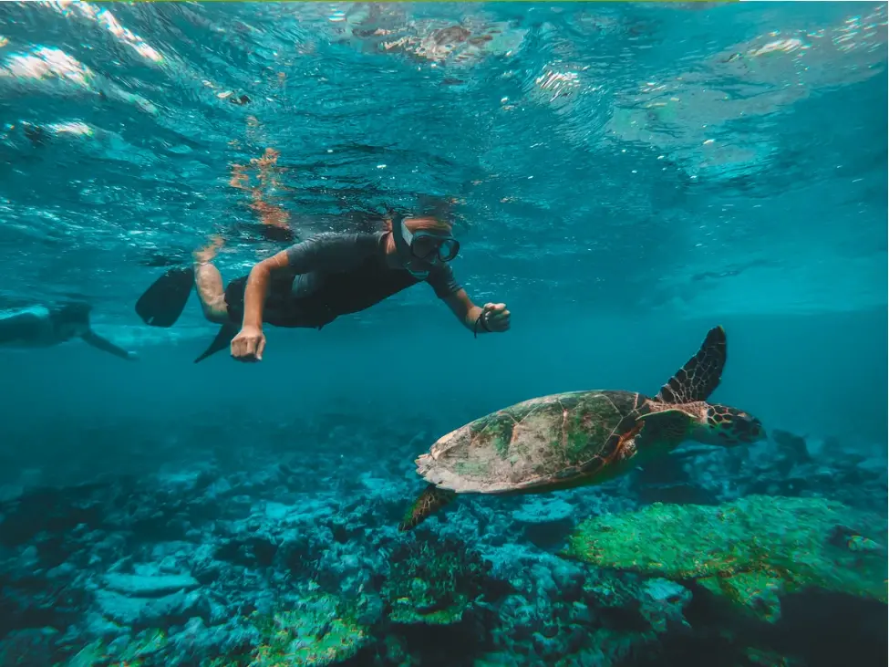 Diving & Snorkeling