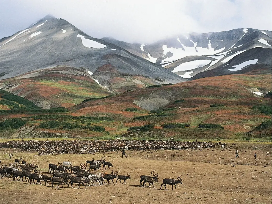 Kamchatka Peninsula