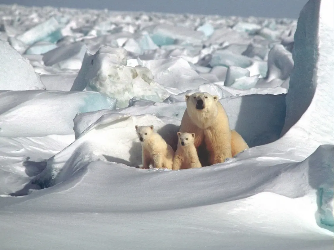 White Sea landscapes