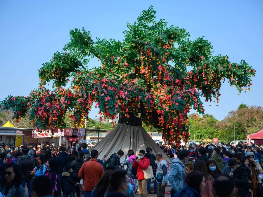 Lam Tsuen Wishing Trees