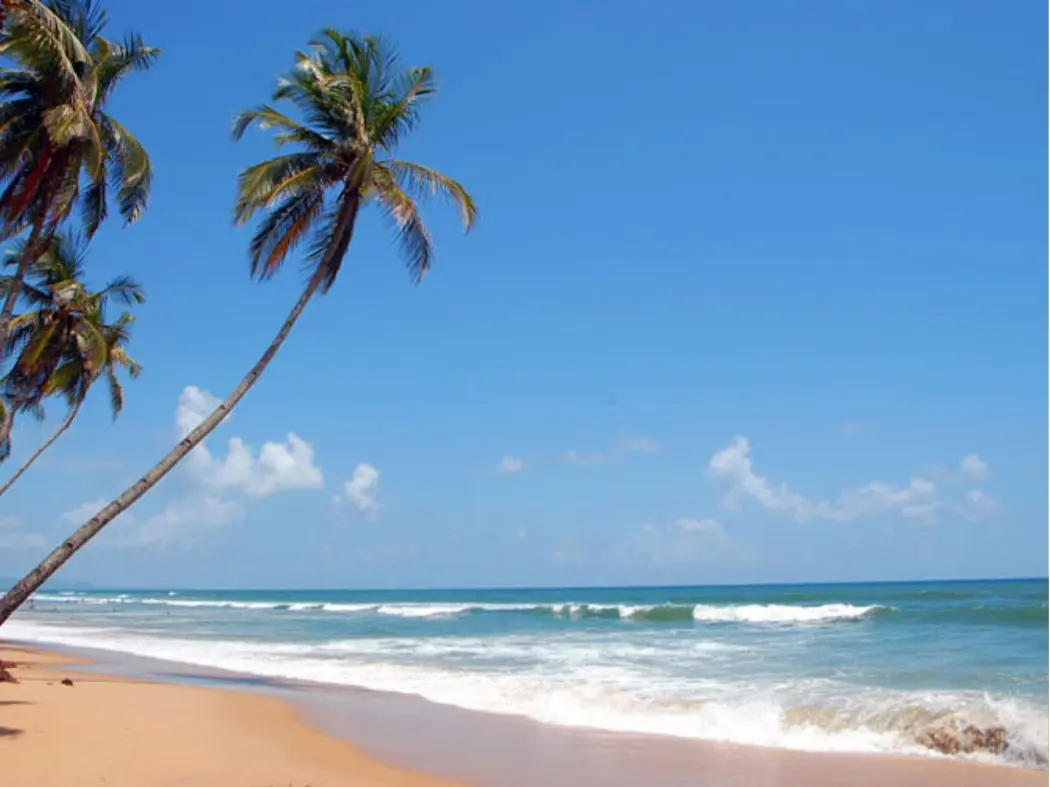Colva Beacha