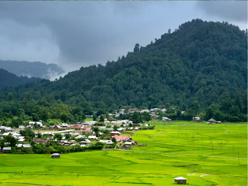 Ziro Valley